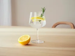 2 Copas de cóctel & gin Essence, 63 cl
