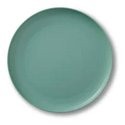 2 Platos melamina Grand Cru Take Ø26 cm, verde niebla