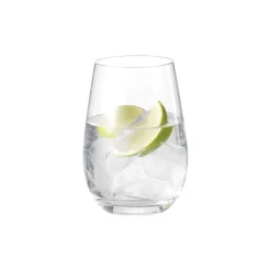 2 Vasos de agua Passion connoisseur 46,5 cl, set de 2