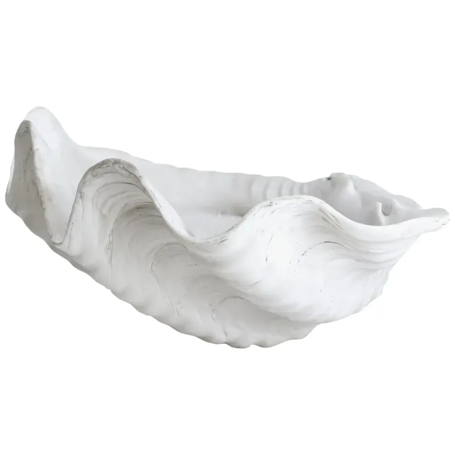 Adorno Shell, Large