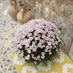 Alfombra Flower sun, 70x150 cm