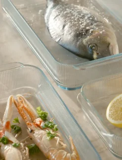 Bandeja para horno Pilastro 17,3x19,7 cm, Clear