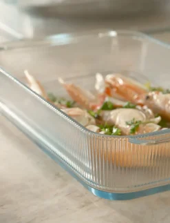 Bandeja resistente al horno Pilastro 20,7x33,1 cm, Clear