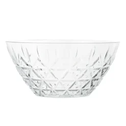 Bol Picknick Ø26 cm, transparente