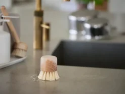 Cepillo para ollas Inu, Haya