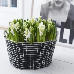 Cesta de alambre Korbo Classic 35, acero galvanizado