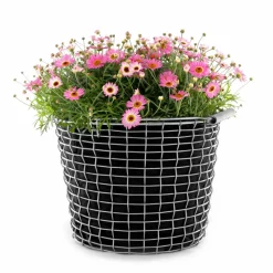 Cesta Korbo Bucket 16, acero resistente a los ácidos