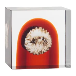 Cubo anual Iittala, 2026