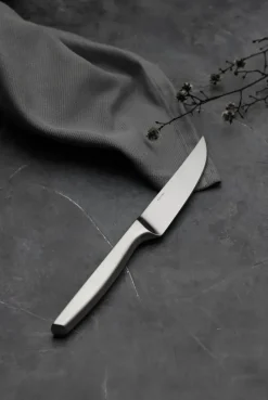 Cuchillo de carne Norm 4 unidades, Acero inoxidable mate