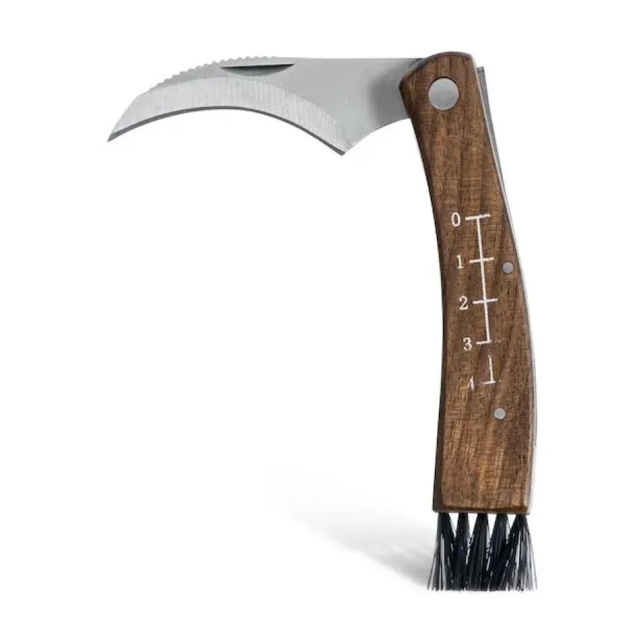 Cuchillo para setas con funda, Roble