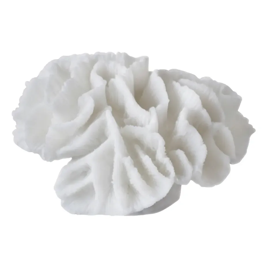 Decoración Coral gills, White