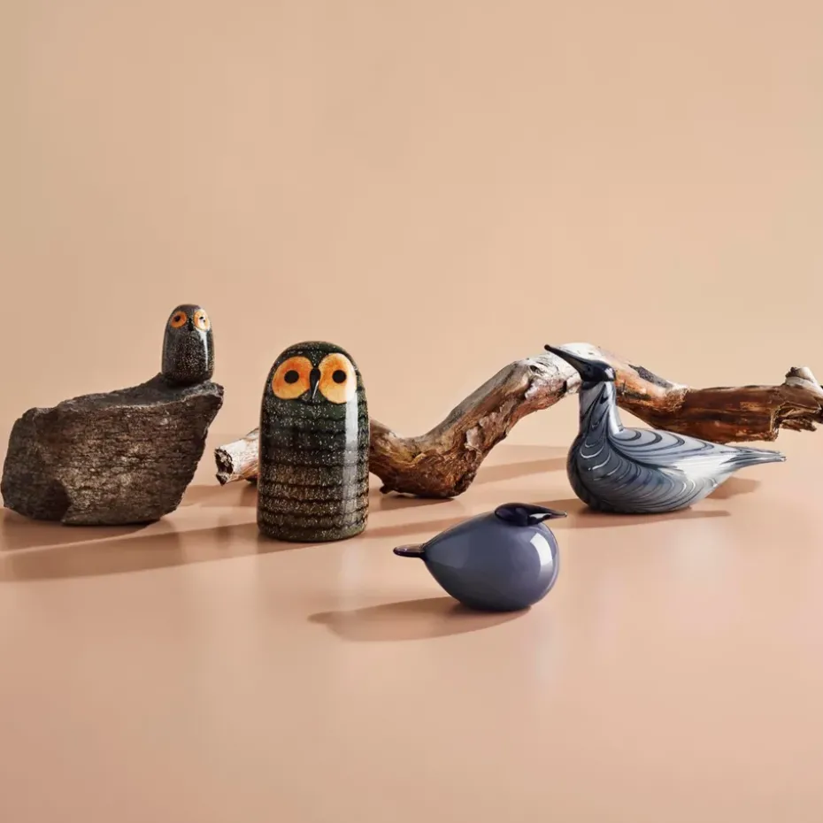 Escultura Birds by Toikka, Kuulas regn