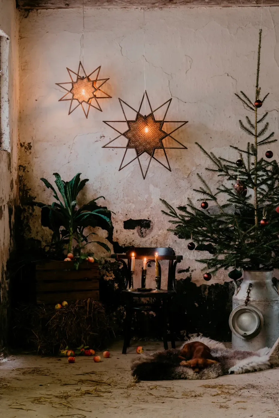 Estrella de Adviento Karin Ø70 cm, marrón