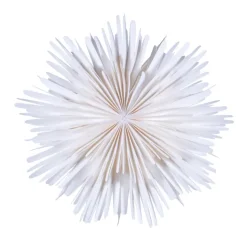 Estrella de Adviento Molly Ø44 cm, blanco