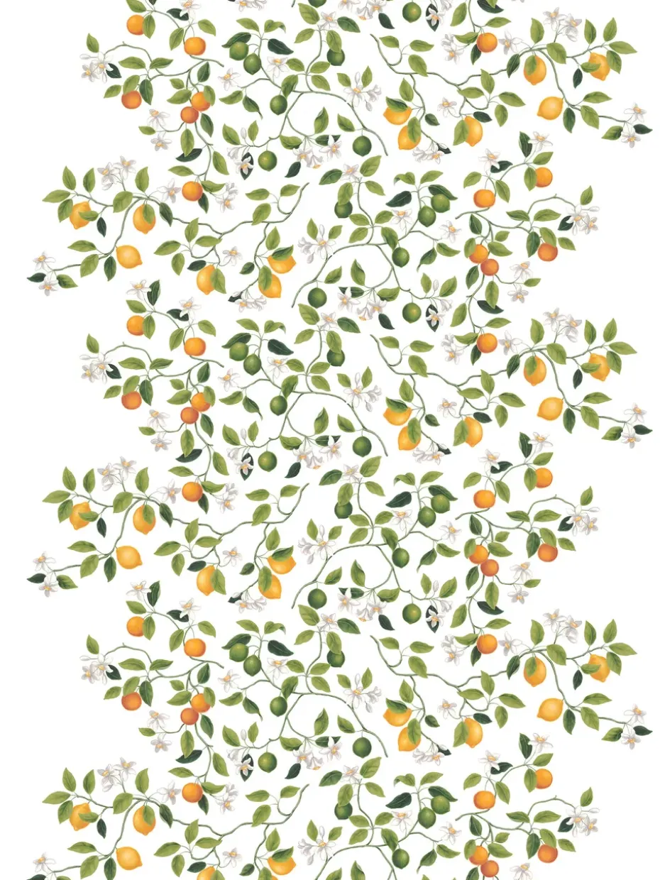 Hule Citrusträdet, verde-verde