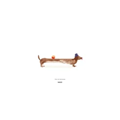 Lámina Doug the Dachshund, 30x40 cm
