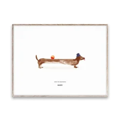 Lámina Doug the Dachshund, 30x40 cm