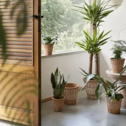 Maceta con plato Atlas raw, Rosa, Ø21 cm