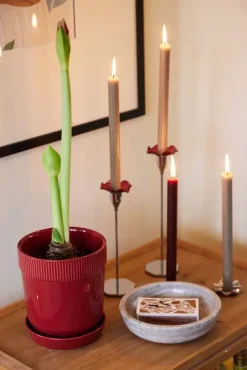 Maceta Elise S Ø14 cm, Burdeos