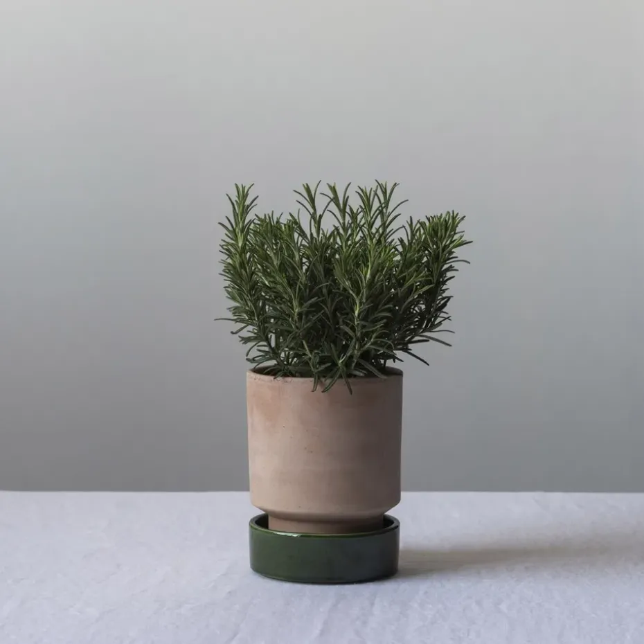 Maceta Hoff, Ø18 cm, Raw Rosa-Emerald Green