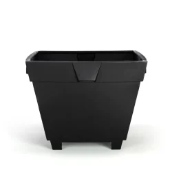 Maceta Karl, Negro