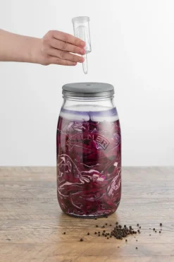 Set de fermentación Kilner 3 l, Transparente