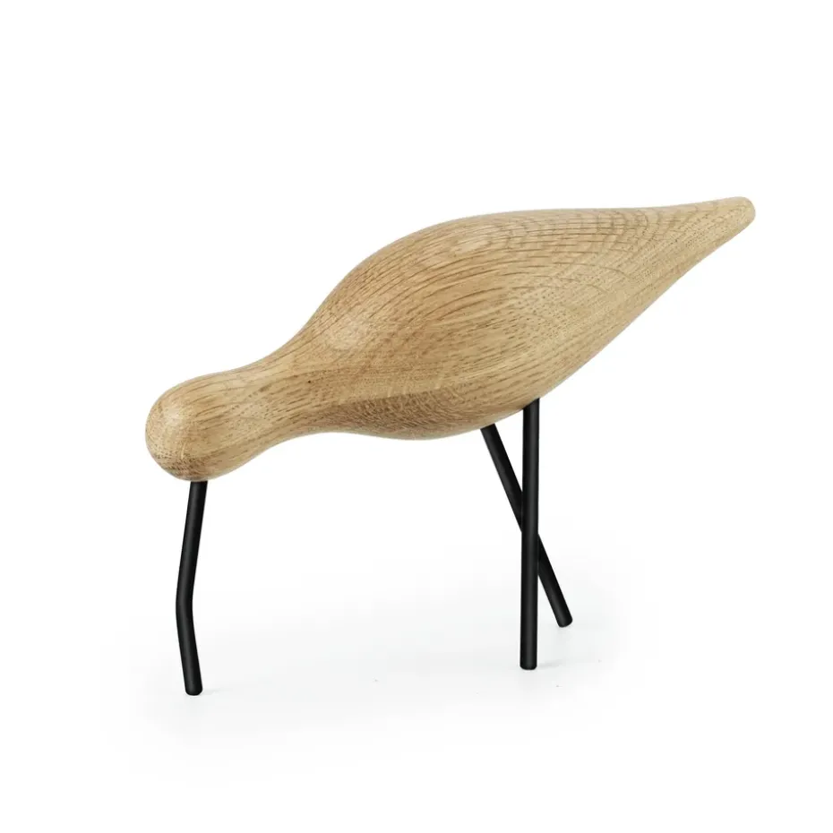Shorebird, roble-negro, grande