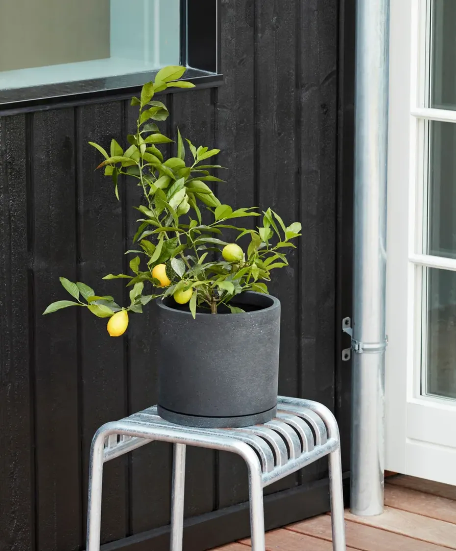Taburete Palissade, Sky grey