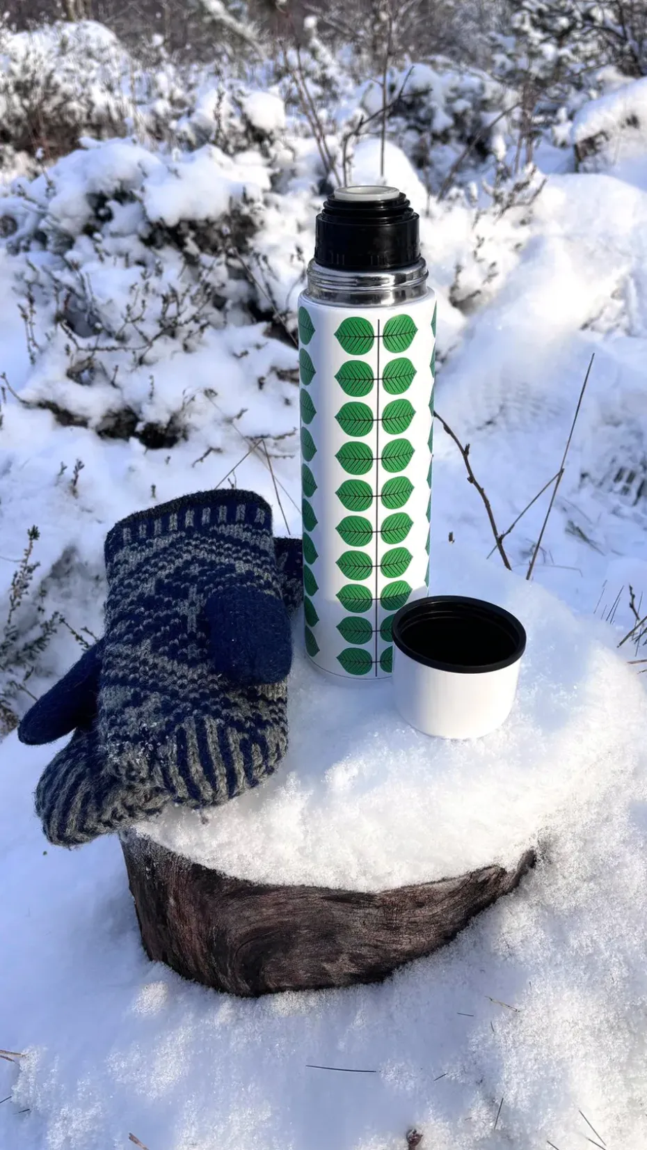Termo Berså 0,75 L, Blanco-verde